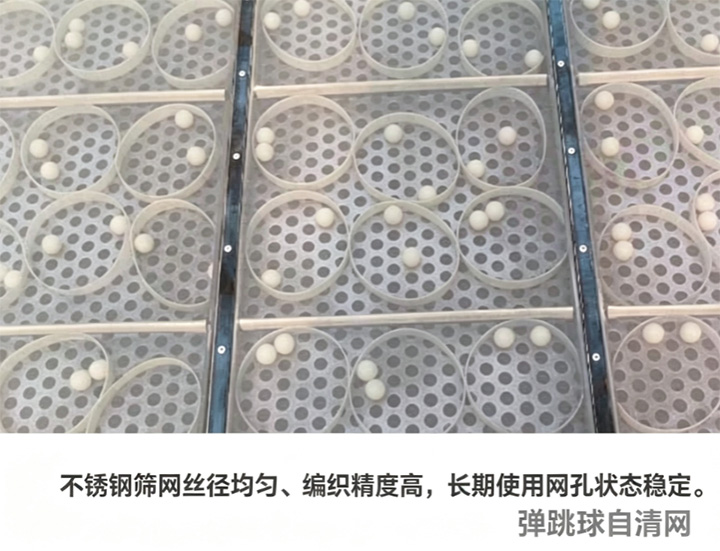 不锈钢筛网细节图,弹跳球自清网结构
